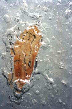 Petite feuille morte prise dans la glace lors d'une plong... by Philippe Brunner 
